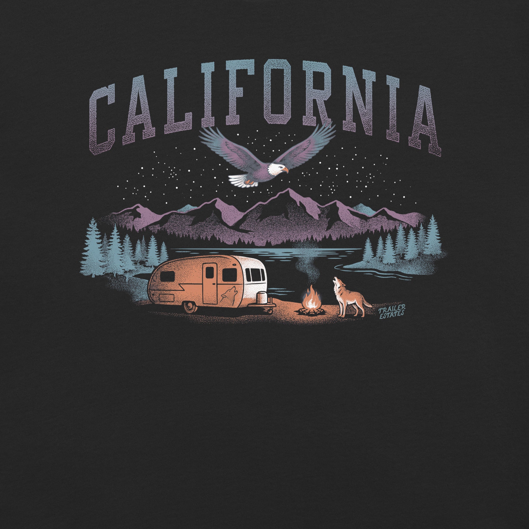 Camp Fire Unisex garment-dyed heavyweight t-shirt